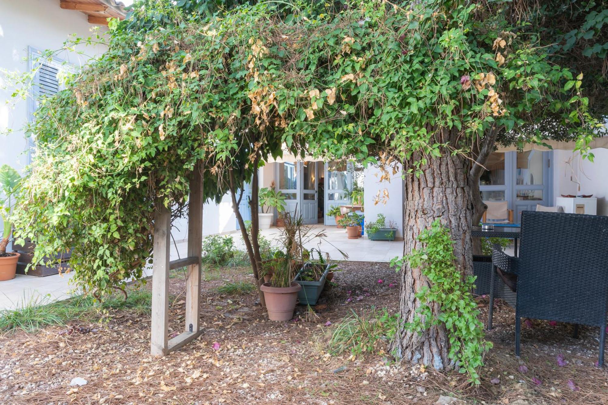 Ananke Home Nicosia Exterior photo